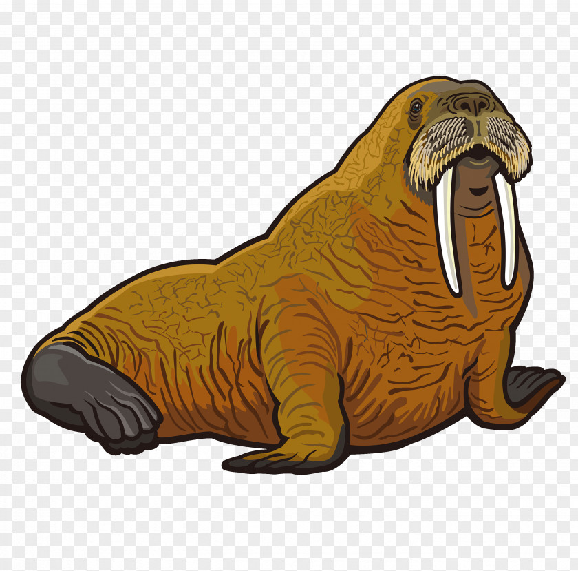 Hand-painted Animal Walrus Stock Photography Clip Art PNG