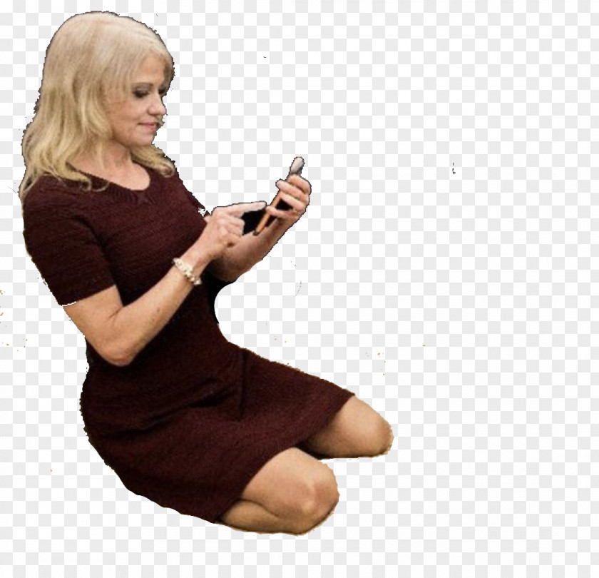 Kellyanne Conway Oval Office White House Couch Adviser PNG
