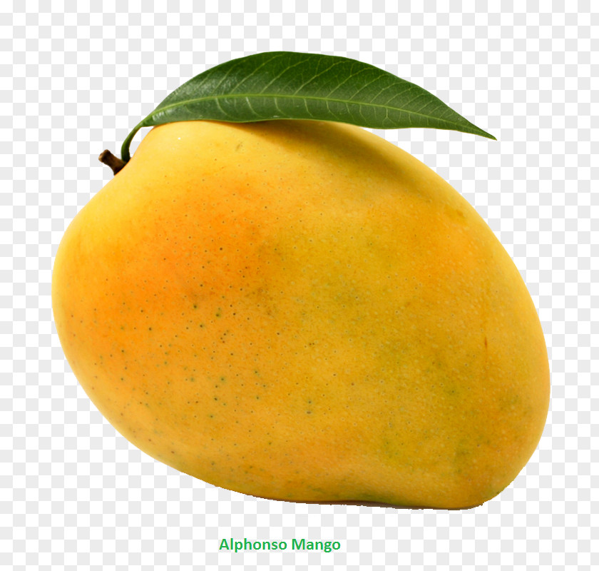 Mango Valsad Alphonso Vegetarian Cuisine Mangifera Indica PNG