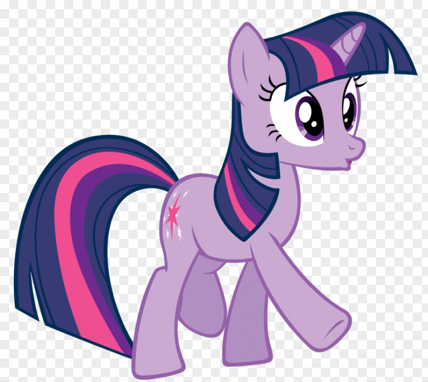 My Little Pony Twilight Sparkle Rarity Princess Celestia Pinkie Pie PNG