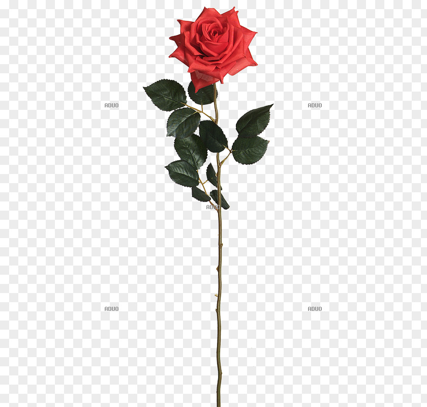 Rose Garden Roses Artificial Flower Red PNG