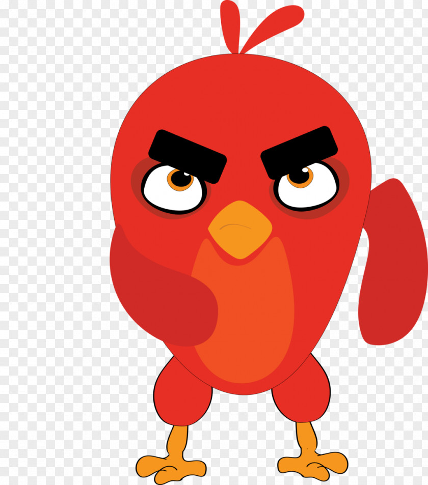 Angry Birds Chicken Bird Galliformes Rooster PNG