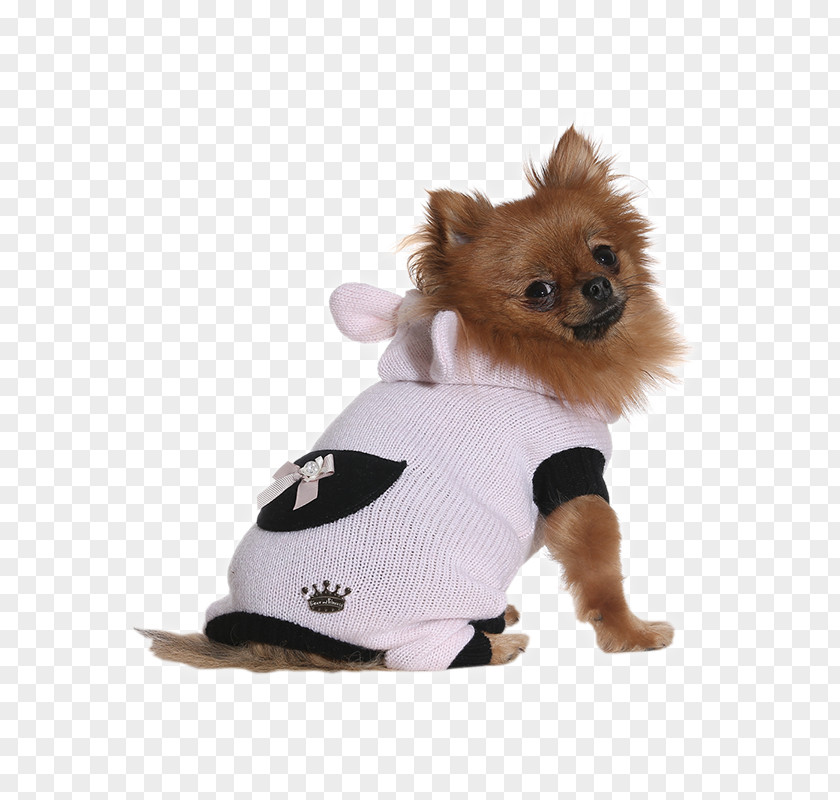 Bunny Princess Dog Breed Pomeranian Puppy Companion Clothes PNG