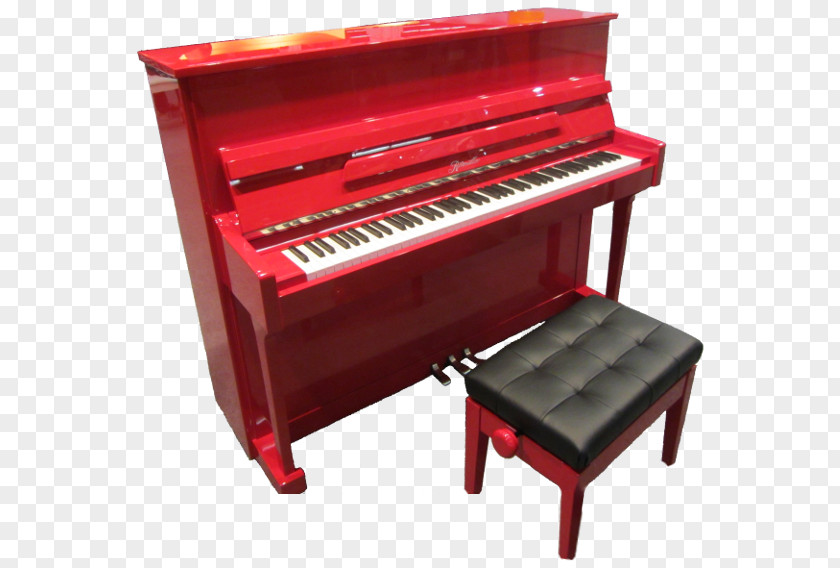Piano Digital Nord Electro Electric Player Fortepiano PNG