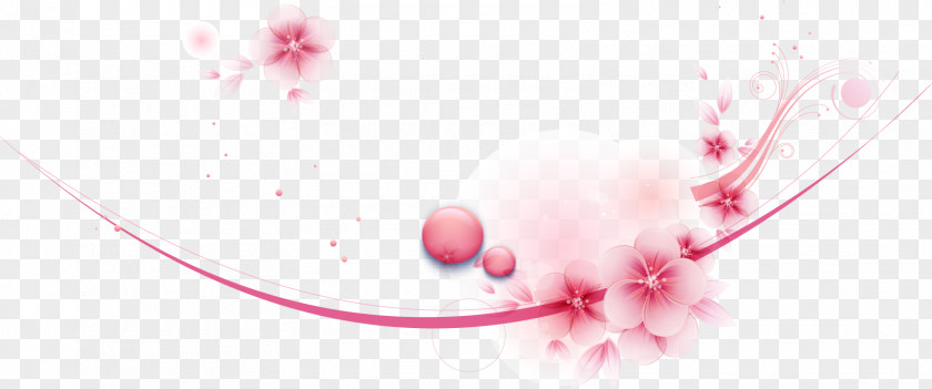 Beautiful Pink Cherry Blossoms Graphic Design Blossom Euclidean Vector PNG