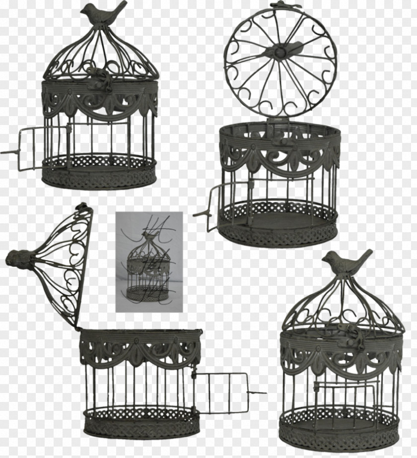 Birdcage Basket PNG