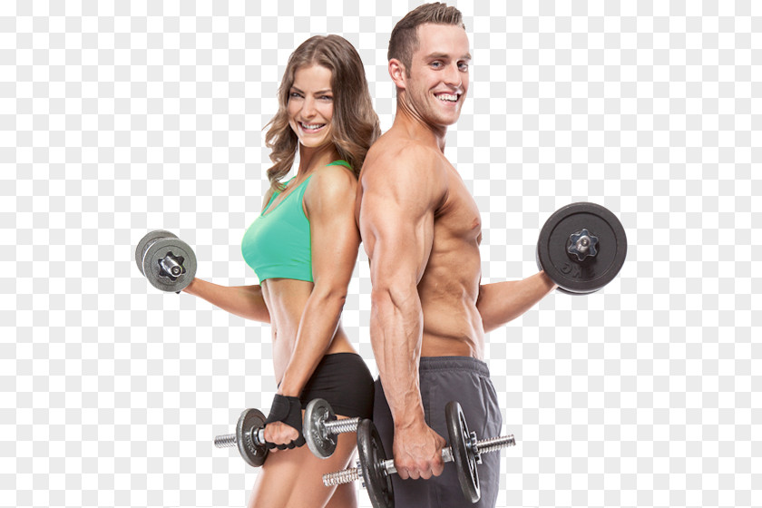 Bodybuilding Physical Fitness Personal Trainer Professional Centre Exercise PNG