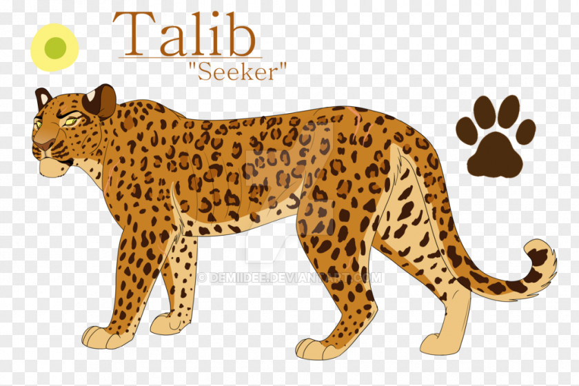 Cheetah Leopard Jaguar Nala Simba PNG