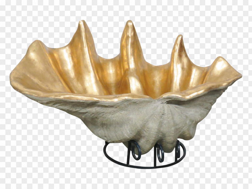 Clams Jaw Tableware PNG