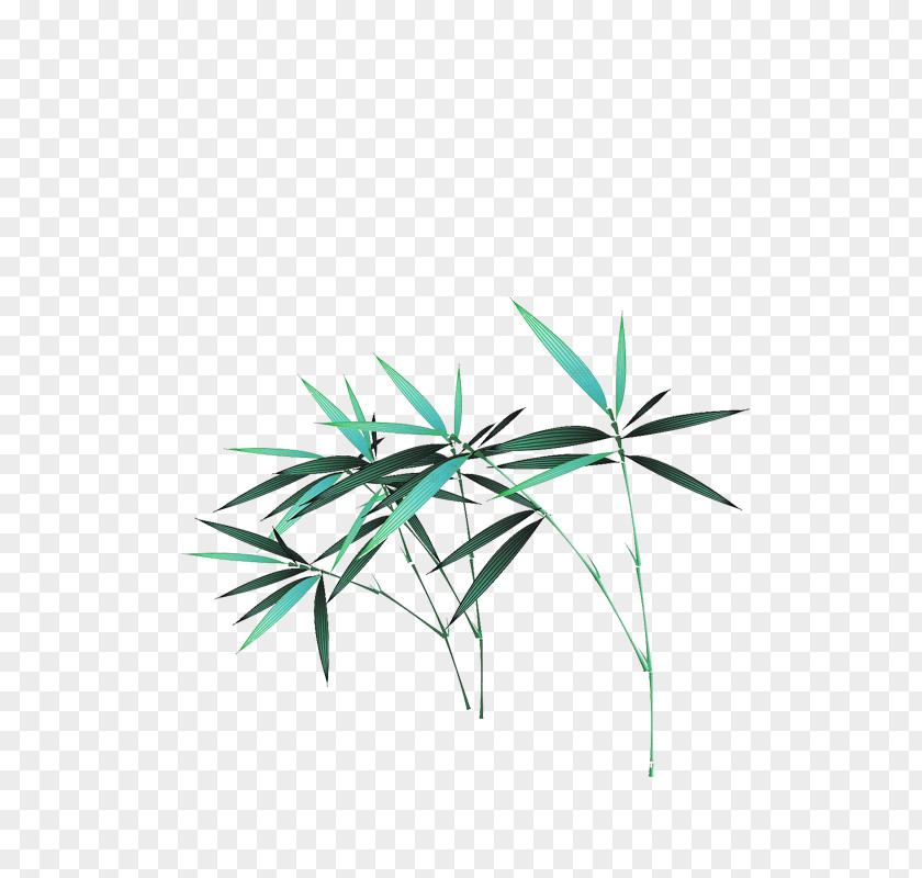 Grass Bamboo Bamboe PNG