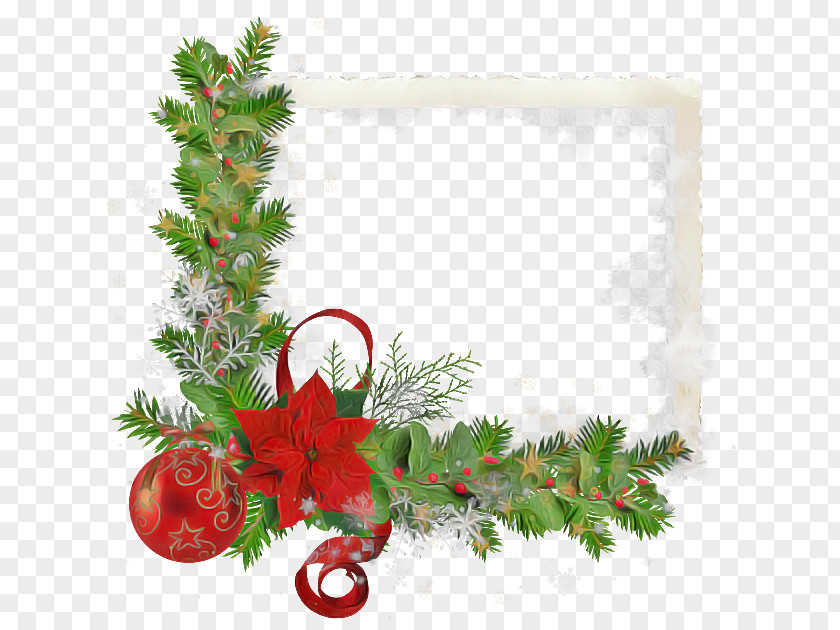 Oregon Pine Holly Christmas Decoration PNG