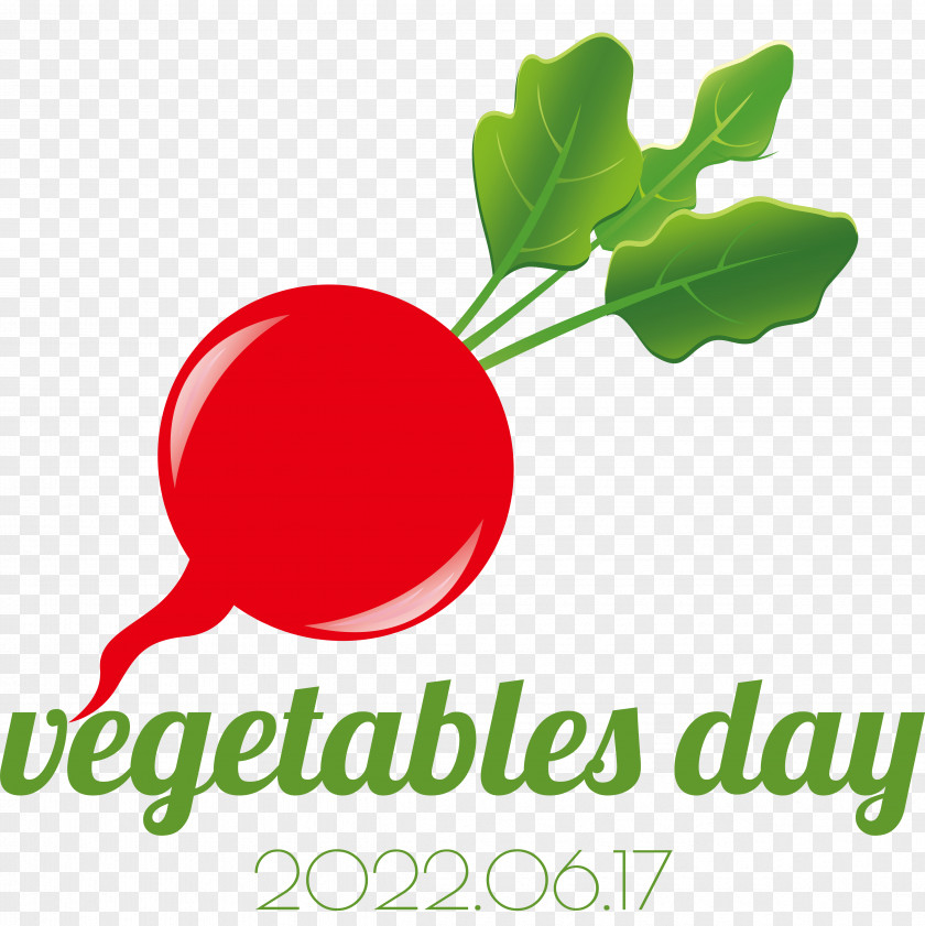 Vegetable Logo Superfood Leaf Radish PNG