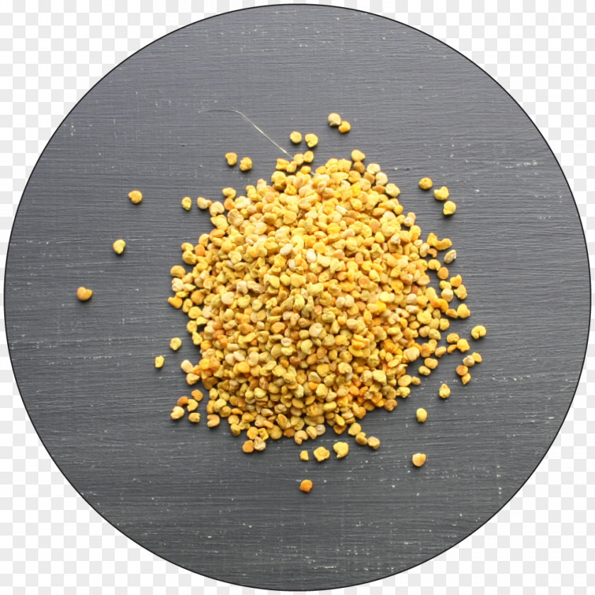 Bee Pollen Sting Allergy PNG