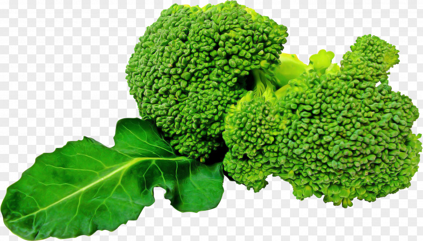 Food Wild Cabbage Broccoli Cruciferous Vegetables Leaf Vegetable Plant PNG