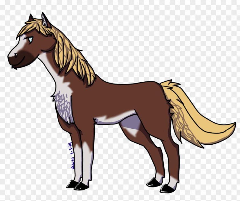 Mustang Mane Foal Stallion Colt PNG