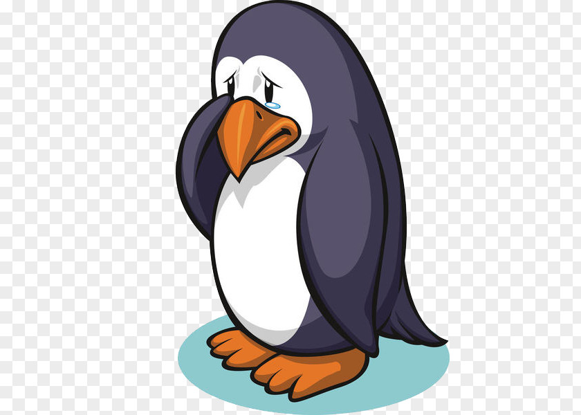 Penguin Vector Graphics Stock Photography Illustration Royalty-free PNG