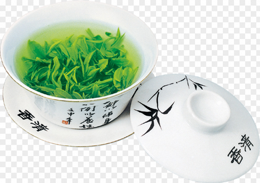 Tea Cup Green Longjing Oolong Xinyang Maojian PNG