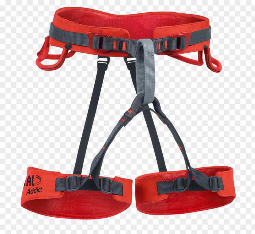 Addict Amazon.com Climbing Harnesses Beal Dynamic Rope PNG