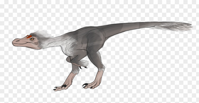 Dinosaur Velociraptor Pyroraptor Daspletosaurus Troodon Tyrannosaurus PNG