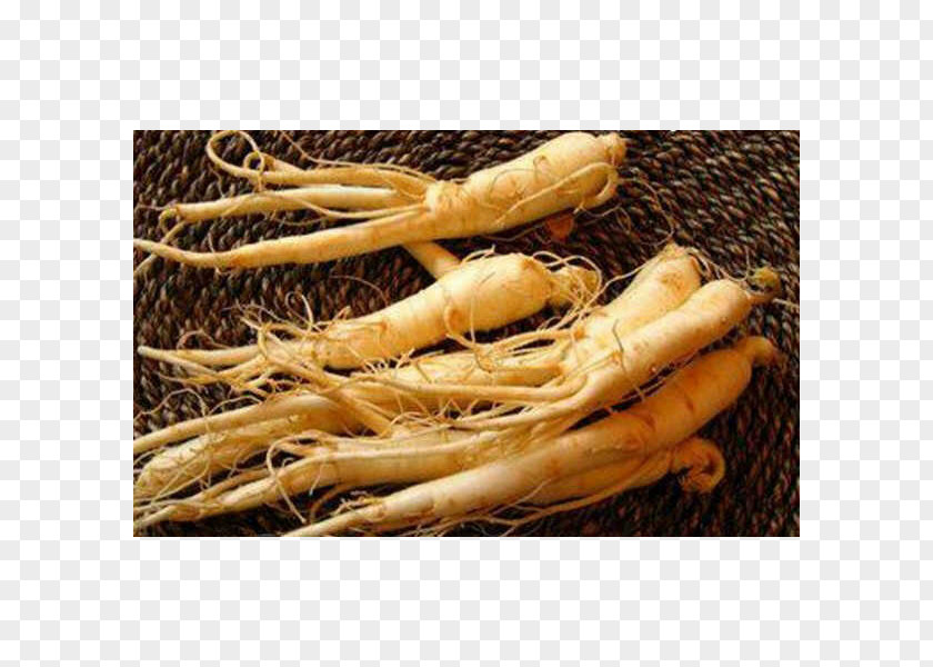 Health Asian Ginseng Root Korea Food PNG