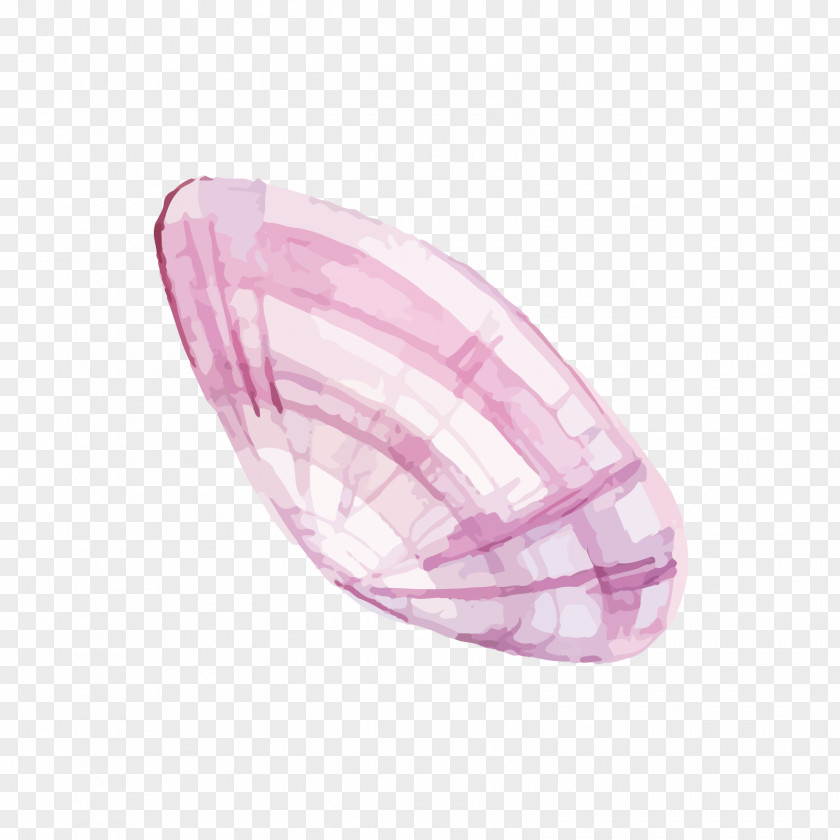Red Shell Oyster PNG
