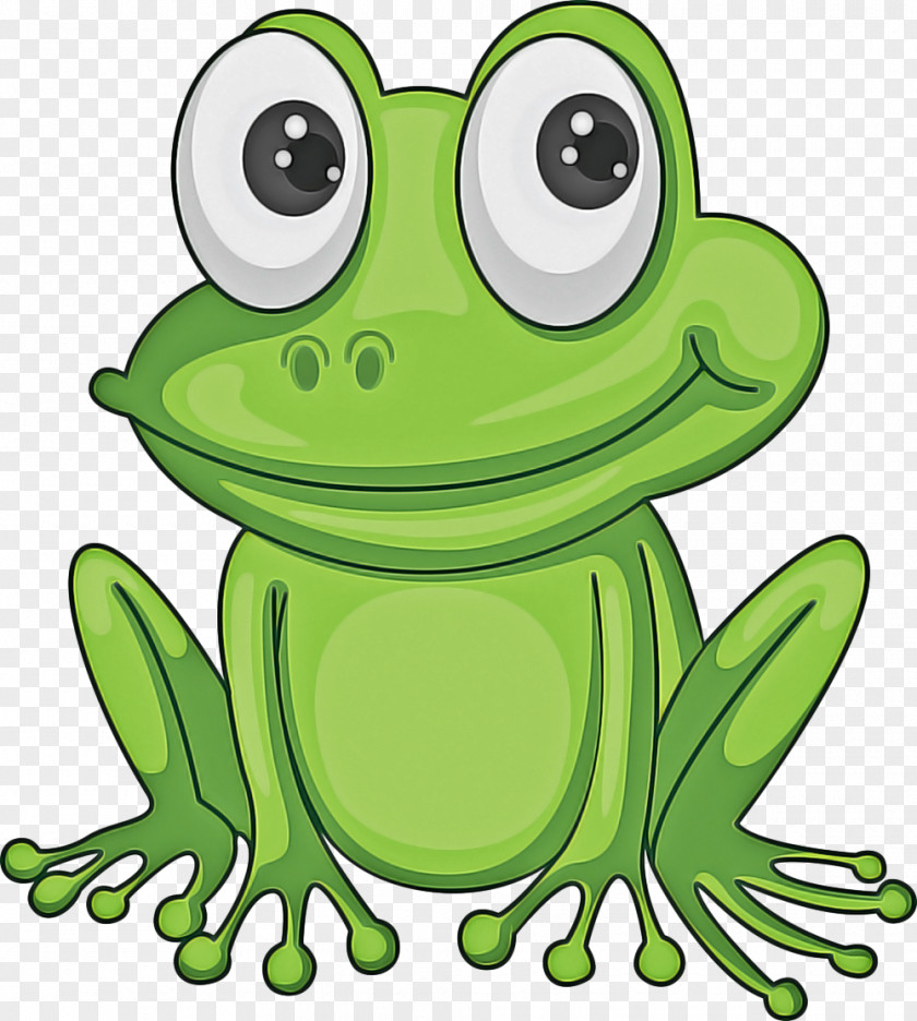 Cartoon Shrub Frog Green True Hyla Tree PNG