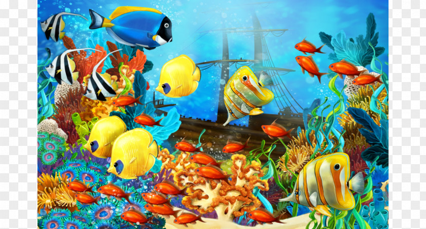 Fish Underwater Coral Reef Tropical PNG