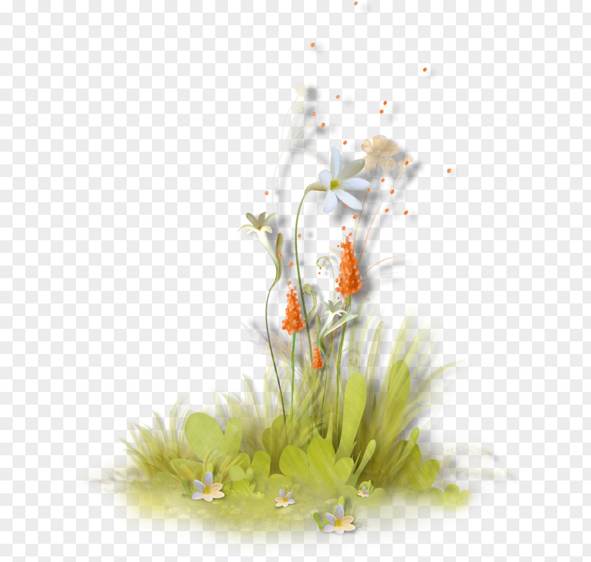 Green Grass Flowers Floral Design Gift Wallpaper PNG