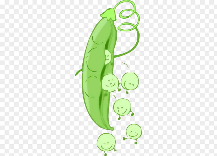 Lovely Baby Peas! Pea Cartoon Clip Art PNG