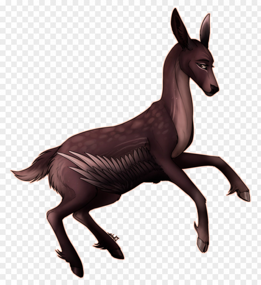 Mustang Mule Foal Donkey Terrestrial Animal PNG