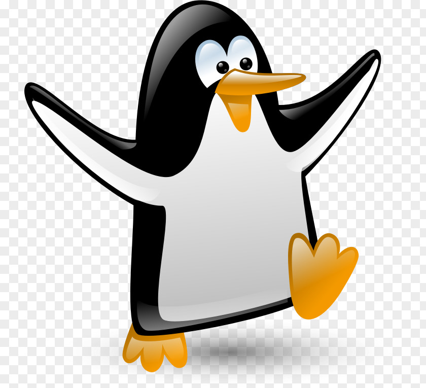 Penguin Razorbills Desktop Wallpaper Clip Art PNG