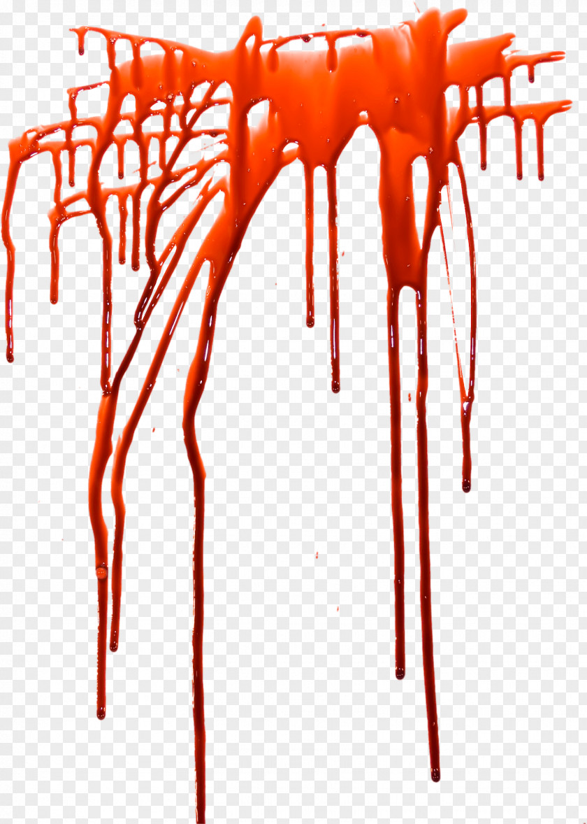 Blood Splashes Image Clip Art PNG