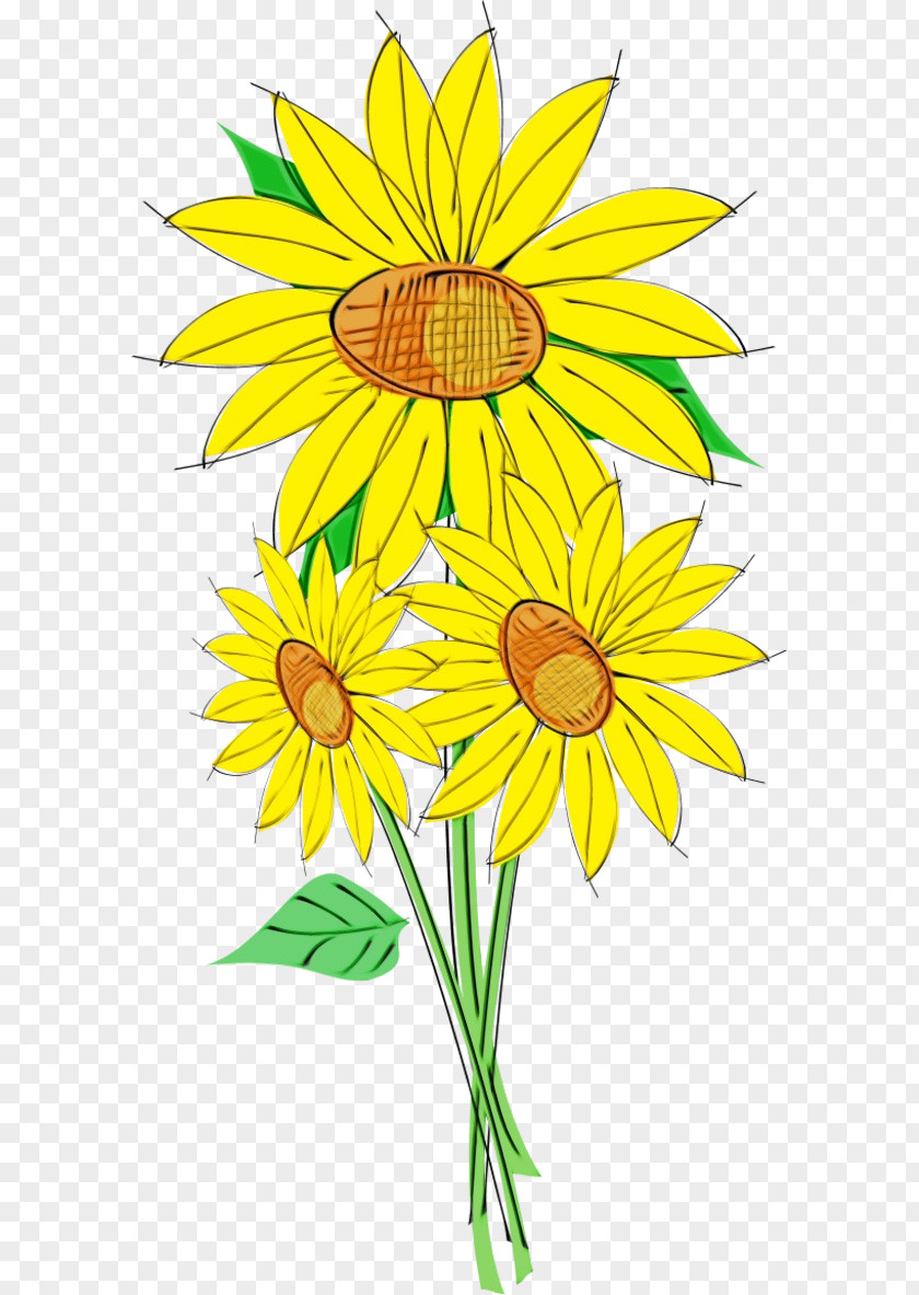 Floral Design PNG