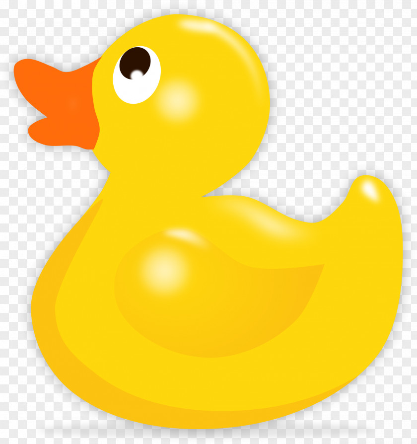 Holocene Animals Duck Rubber Clip Art Vector Graphics Free Content PNG