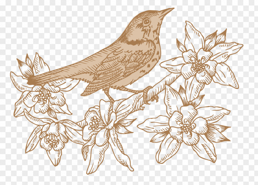 Retro Birds Realism Bird Flower Floral Design Clip Art PNG