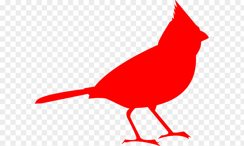 Rigging The Basic Birder Wild Bird Supply Northern Cardinal Silhouette Clip Art PNG