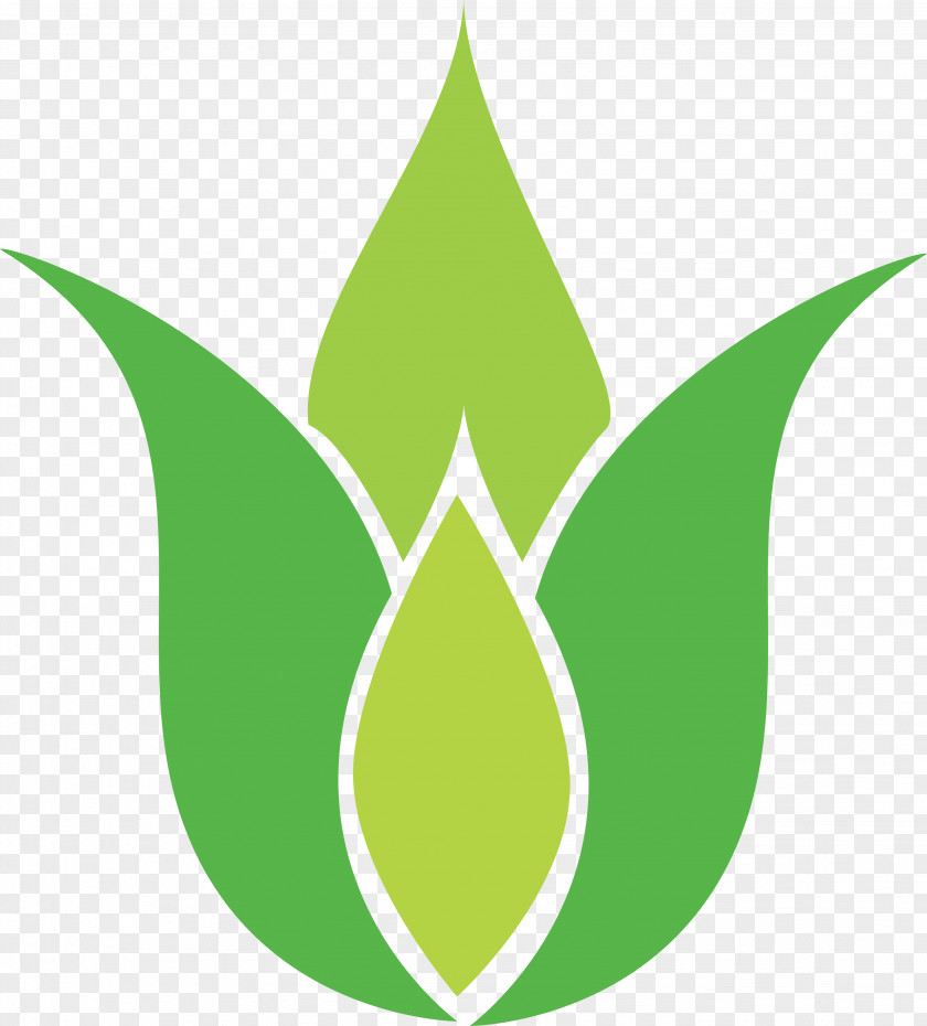 Symbol Leaf Sign Logo Pattern PNG