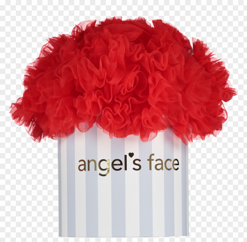 Tutu Skirt Cut Flowers Fuchsia PNG