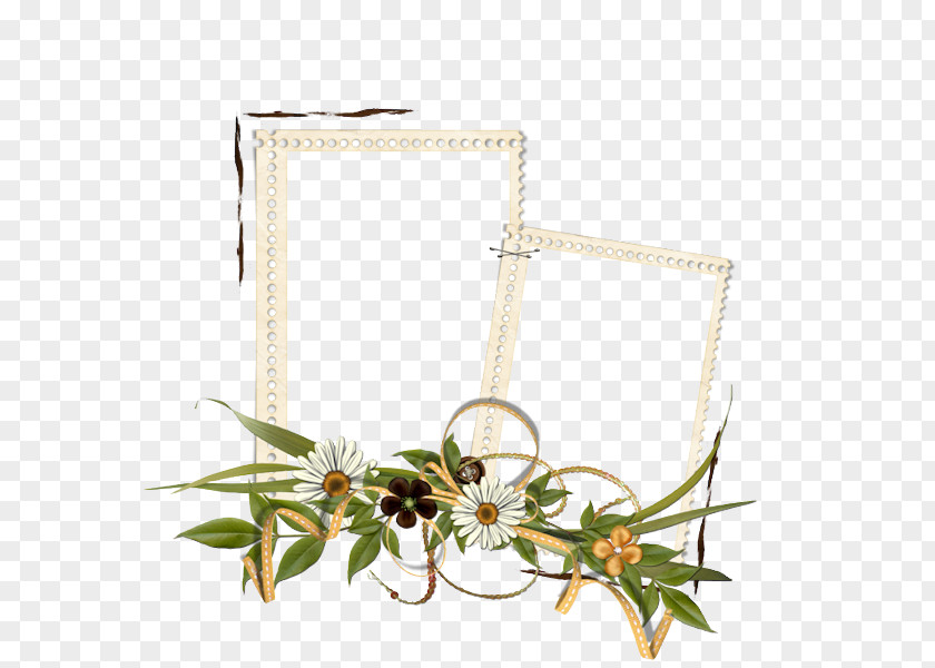 Catechism Picture Frames Photography PNG