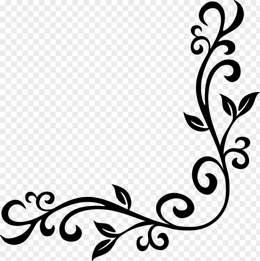 Corner Flourish Picture Frames Floral Design Clip Art PNG