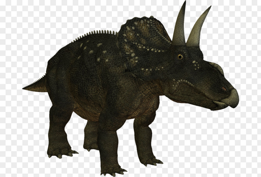 Dinosaur Torosaurus Iguanodon Crystal Palace Dinosaurs Triceratops Horridus PNG