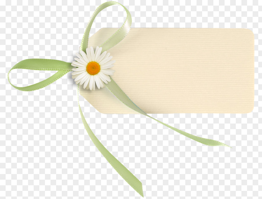 Flower Banner Paper Photography PNG