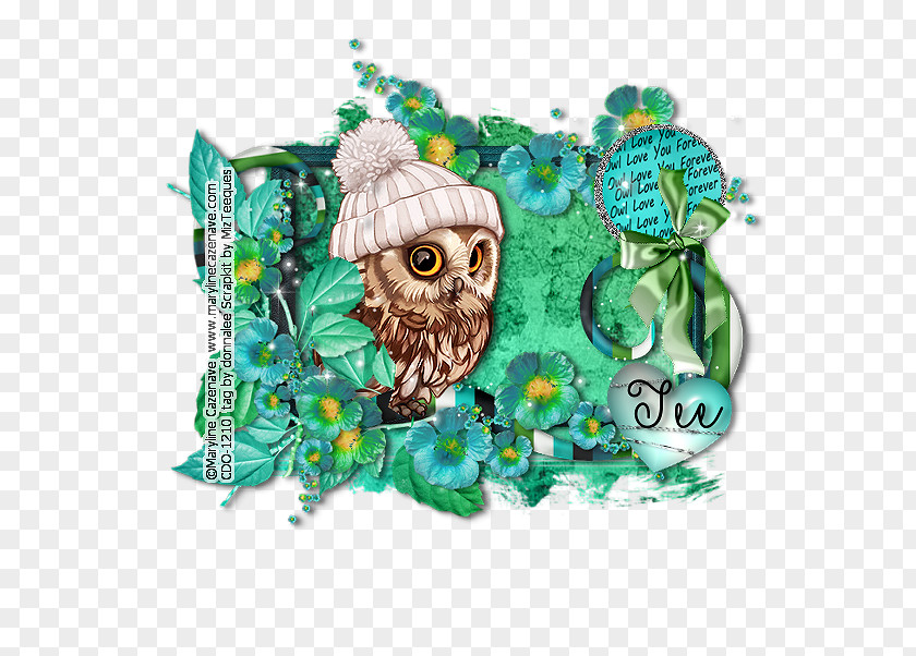 Owl Turquoise PNG