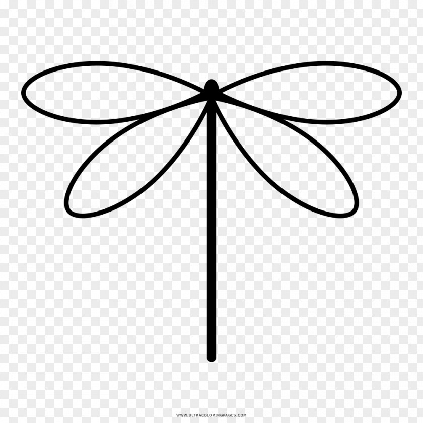 Painting Drawing Coloring Book Dragonfly PNG