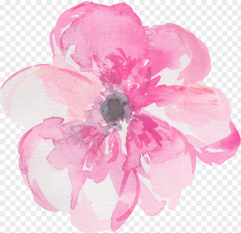 Pink Hand-painted Flowers Watercolour Watercolor Painting Clip Art PNG