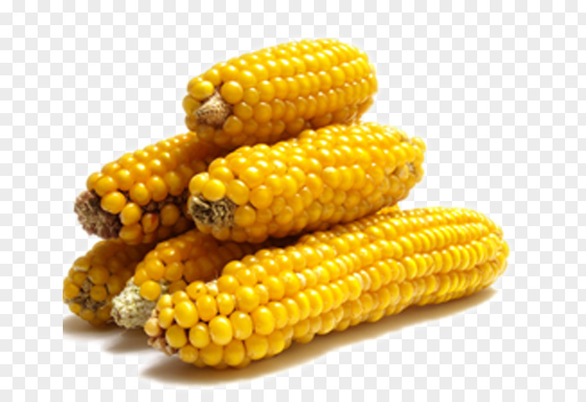 Corn On The Cob Maize Popcorn Kebab Vegetable PNG