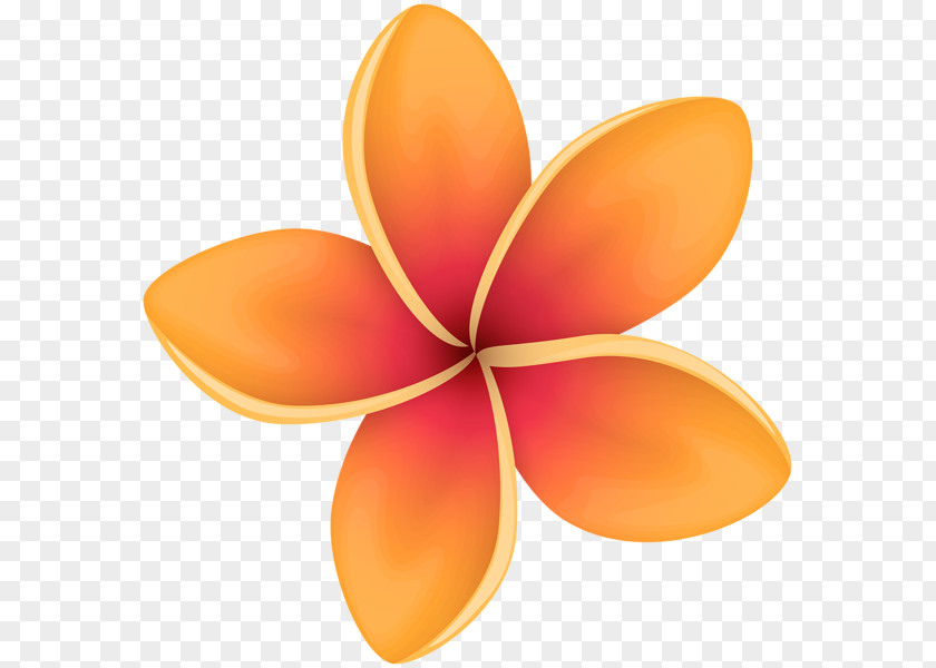 Flower Image Clip Art Petal PNG