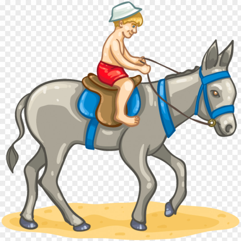 Horse Mule Donkey Rides Equestrian Clip Art PNG