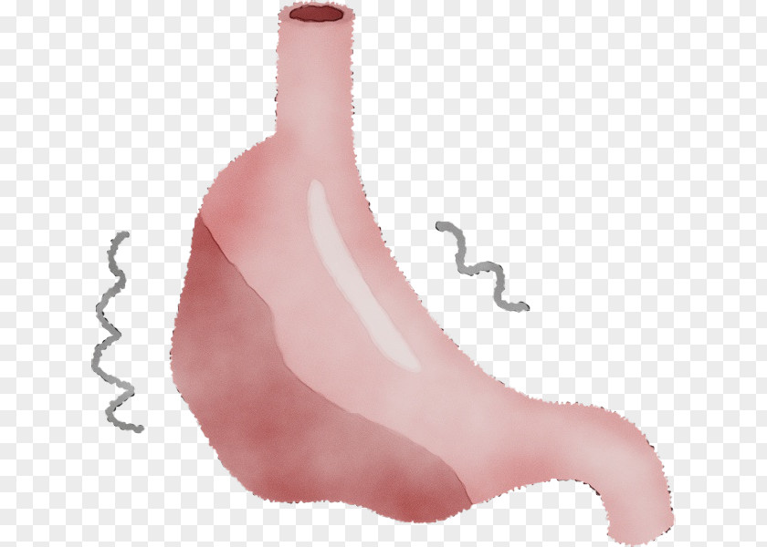Pink Nose Finger Plant Thumb PNG