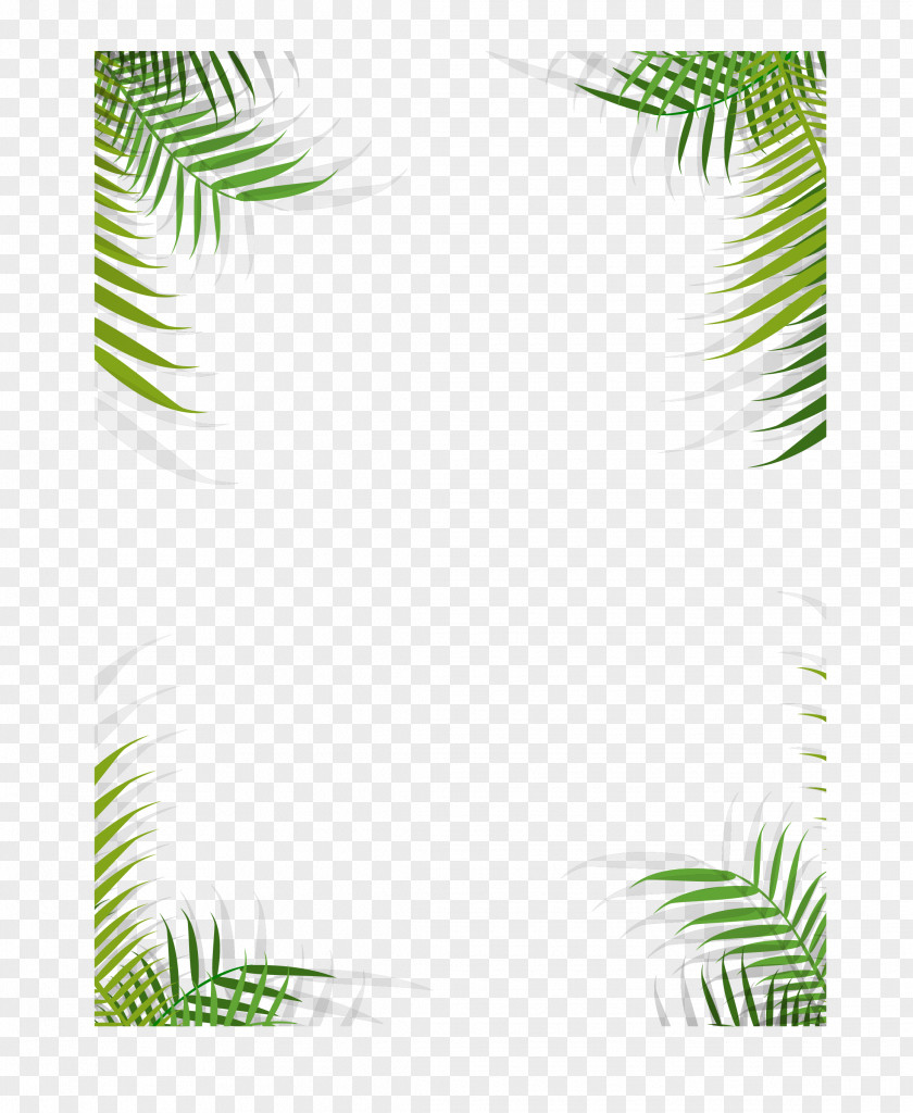 Plant Border Template PNG